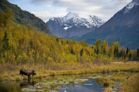 Alaska 2023 - Part 1 - Anchorage