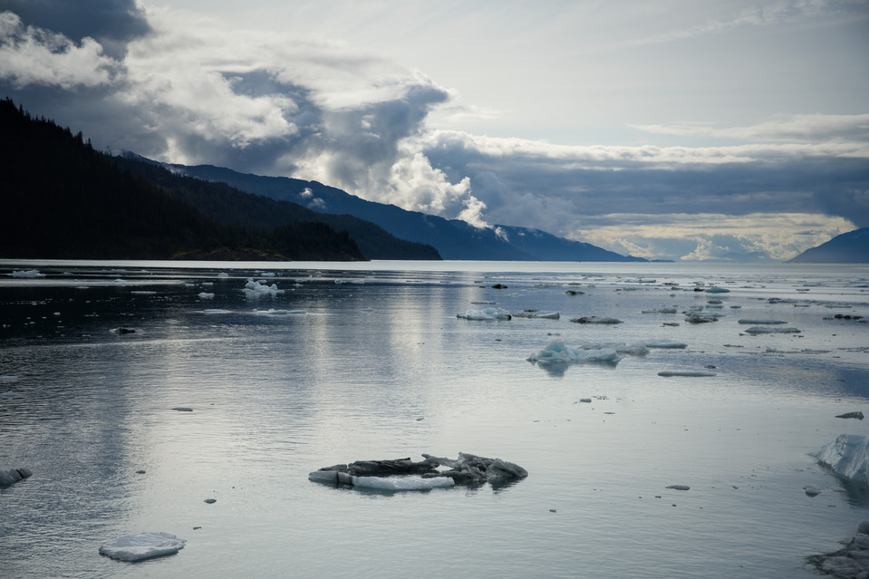 Prince William Sound - Icefield