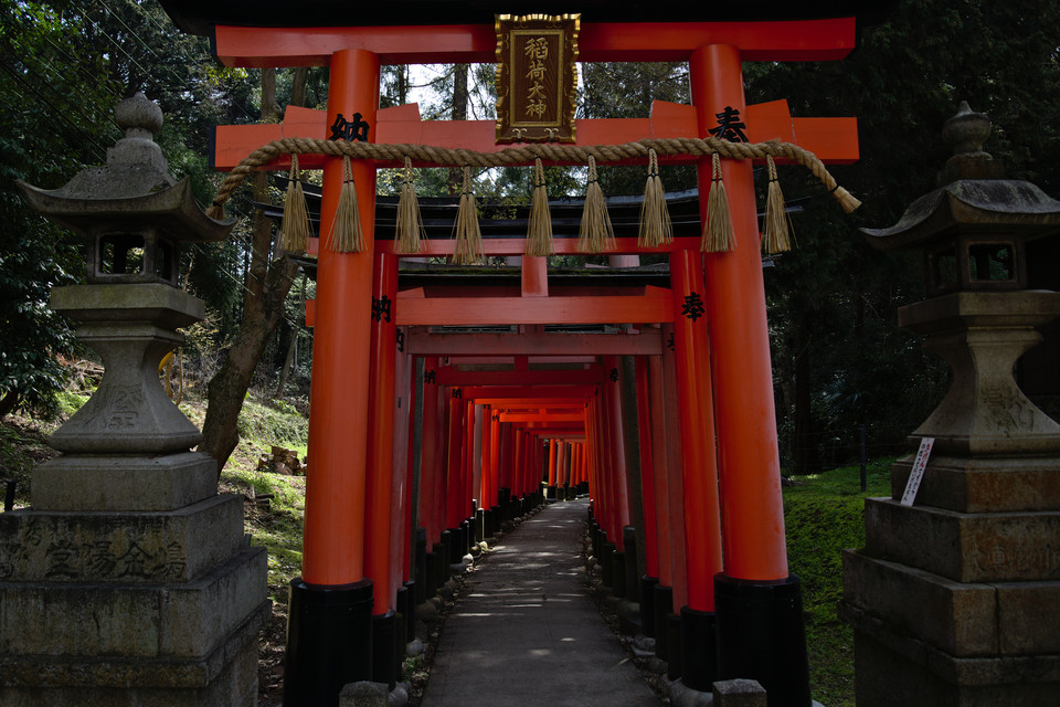 Fushimi Inari Taisha - Torii Path