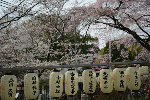 Japan 2014 - Part 1 - Kyoto
