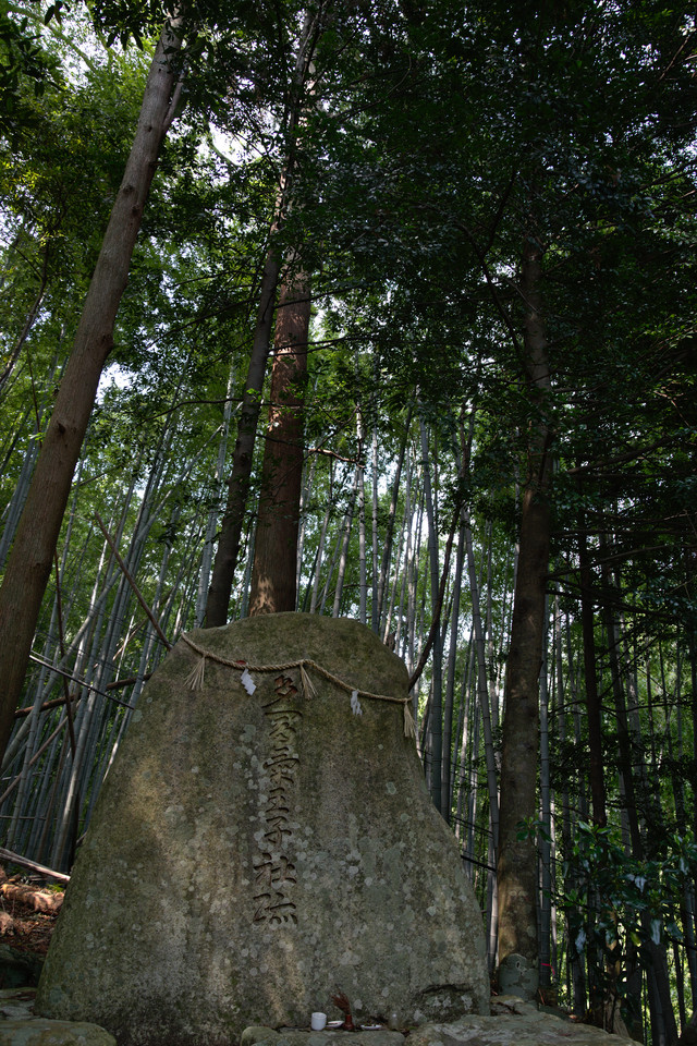 Kumano Nachi Taisha - Forest Stone