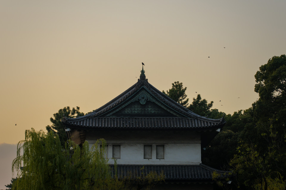Imperial Palace - Keeping Watch