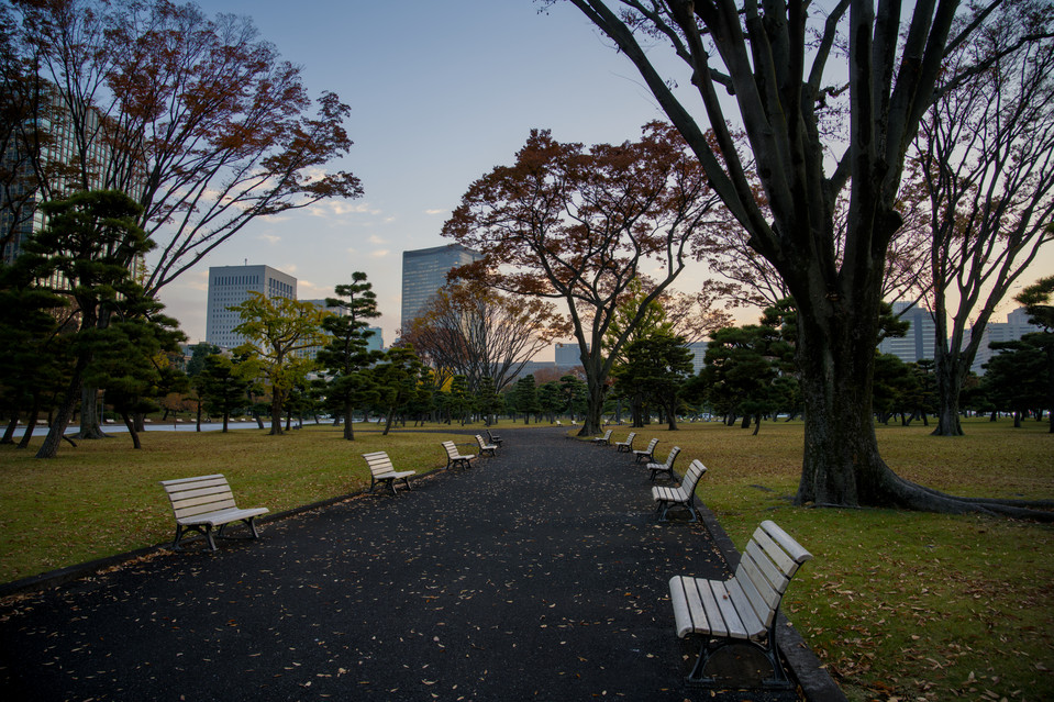 Kyoko Gaien National Garden - Benches