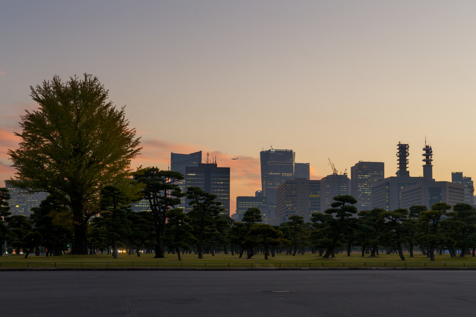 Kyoko Gaien National Garden - Skyline, Treeline