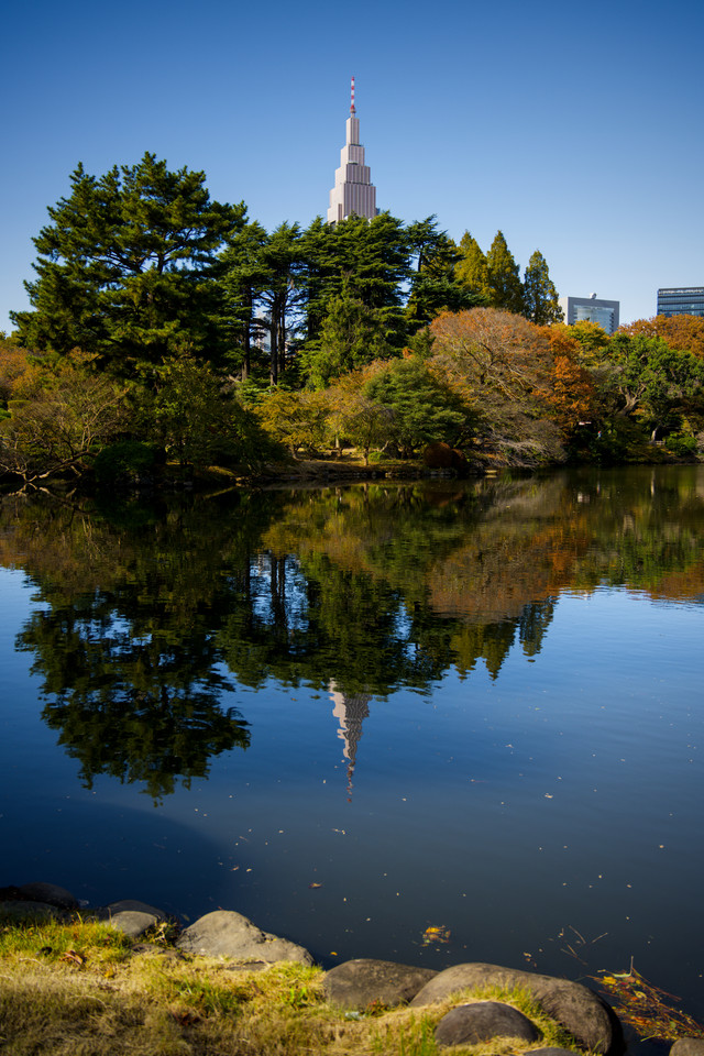 Shinjuku Gyoen National Garden - Docomo Tower Reflection