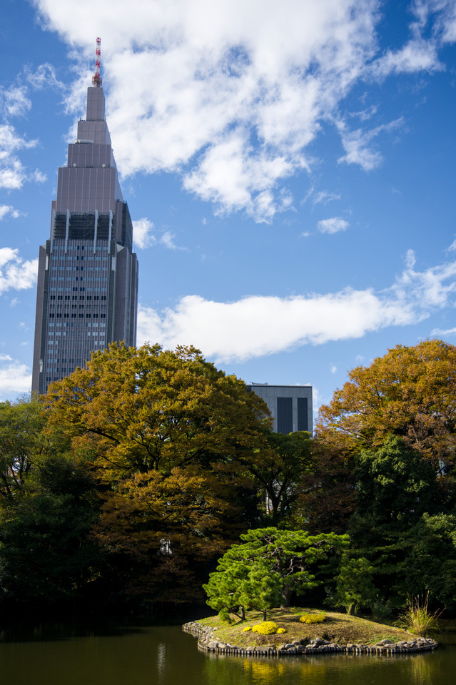 Shinjuku Gyoen National Garden - Docomo Tower and Island