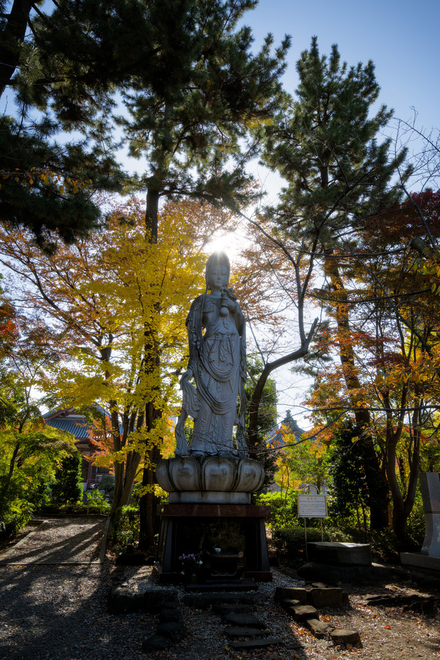 Zojoji Temple - Statue and Foliage