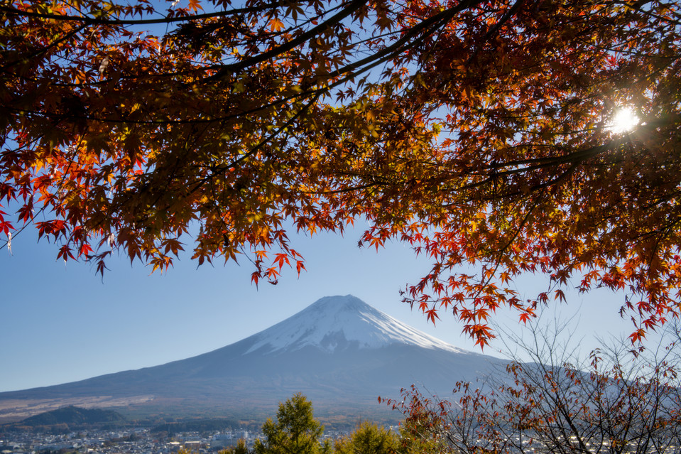 Arakura Fuji Sengen Shrine - Maple Leaves and Fujisan I