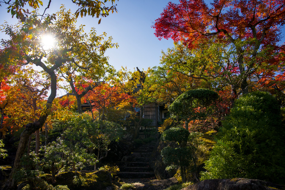 Hakone Museum of Art - Autumn Steps