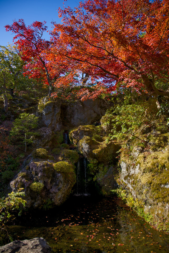 Hakone Museum of Art - Waterfall I