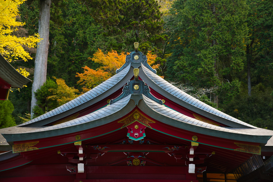 Hakone Shrine - Temple Roofs