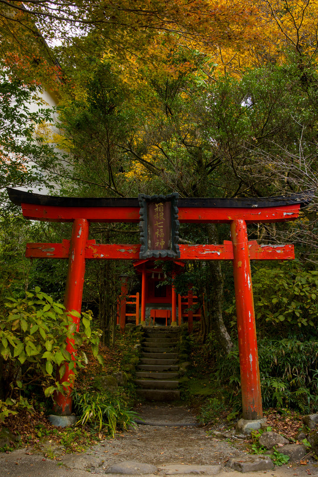 Hakone Shrine - Weathered Torii