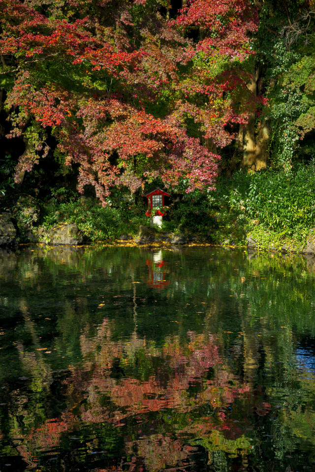 Fujisan Hongu Sengen Taisha - Pond Reflections