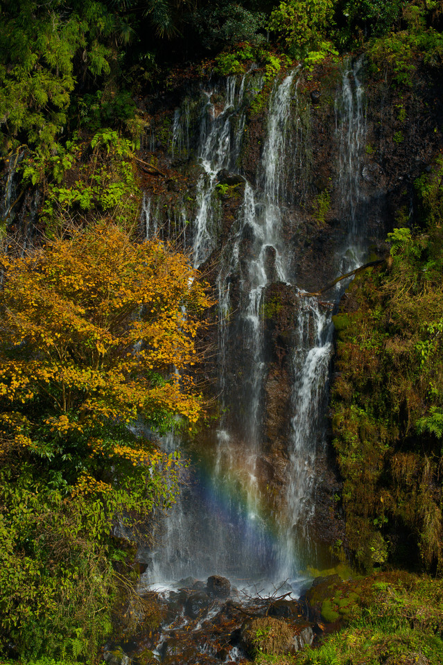 Shiraito Falls - Cascade