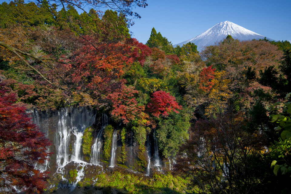 Shiraito Falls - Shiraito Falls and Mount Fuji