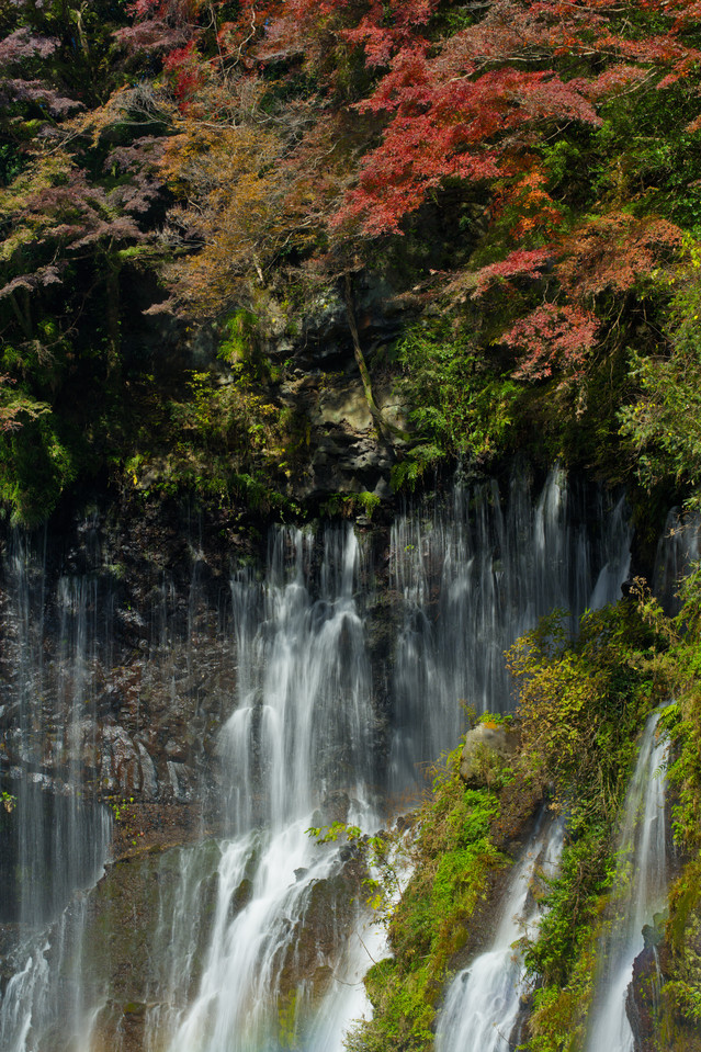 Shiraito Falls - Water Within