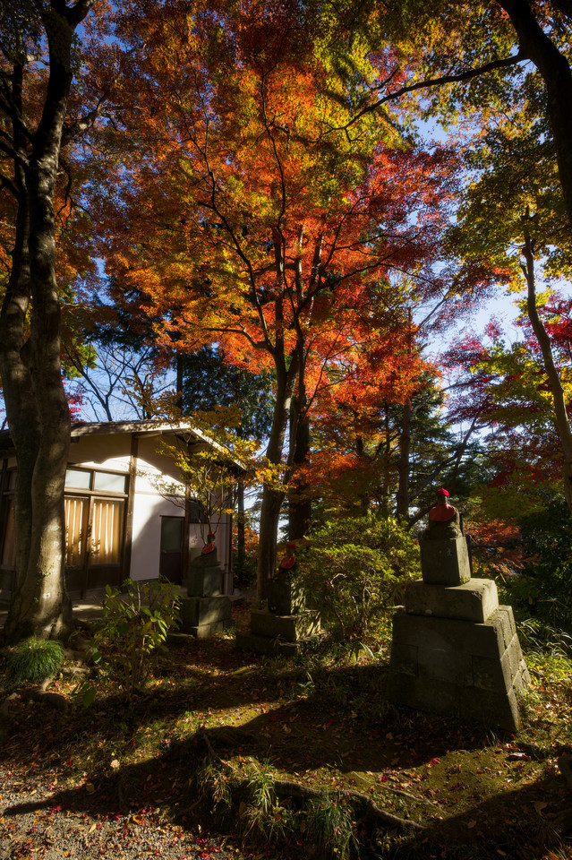 Takaosan - Statues Beneath the Leaves III