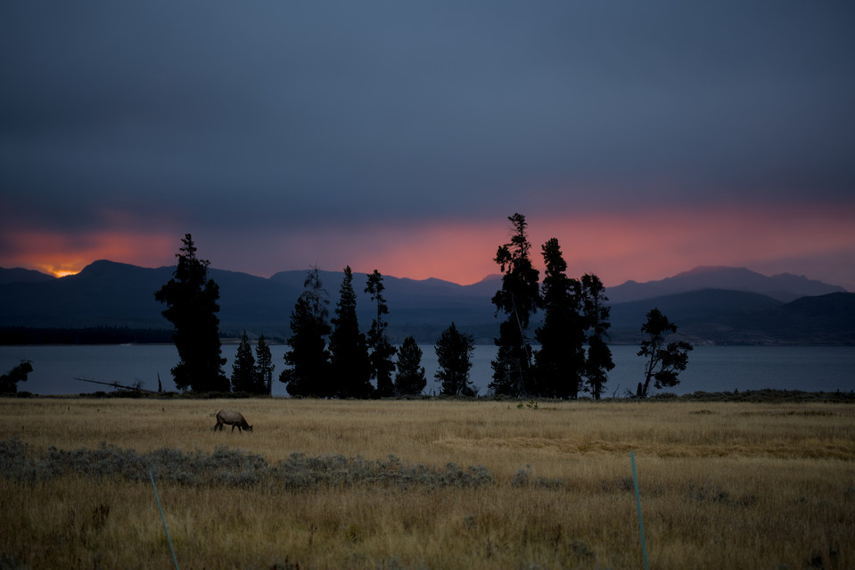 Lake Yellowstone - Breakfast at Sunrise