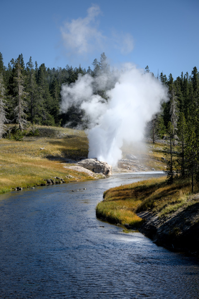 Upper Geyser Basin   Riverside Geyser thumb