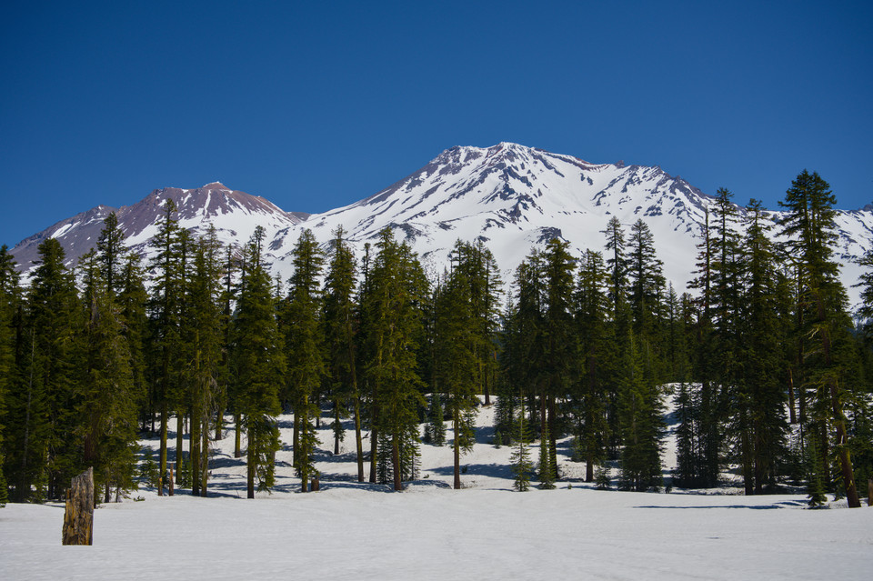 Mount Shasta - From Sand Flat