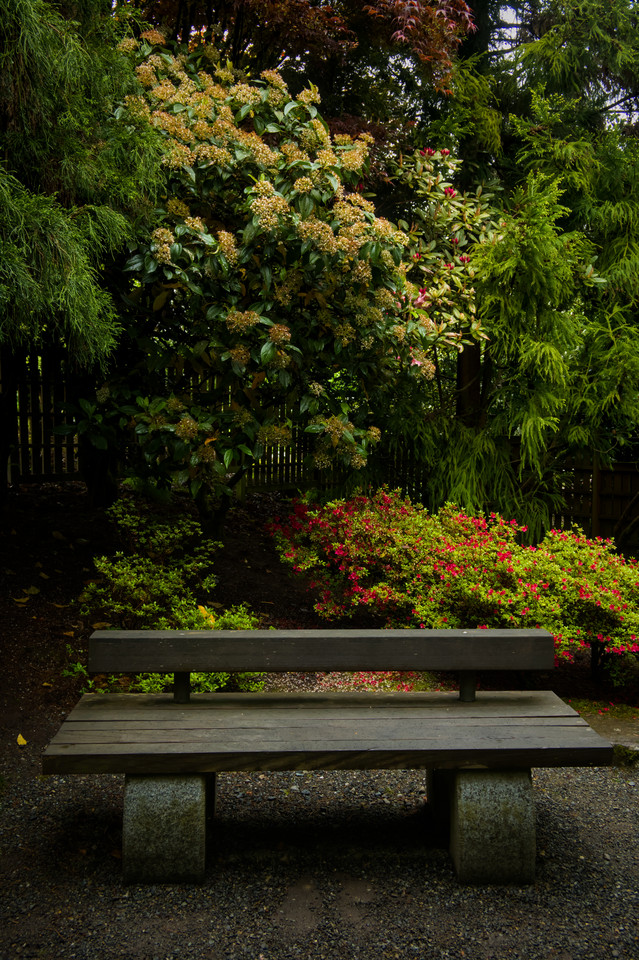 Bellevue Botanical Garden - Yao Garden Wooden Bench