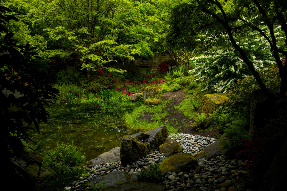 Bellevue Botanical Garden - Yao Garden in Shade