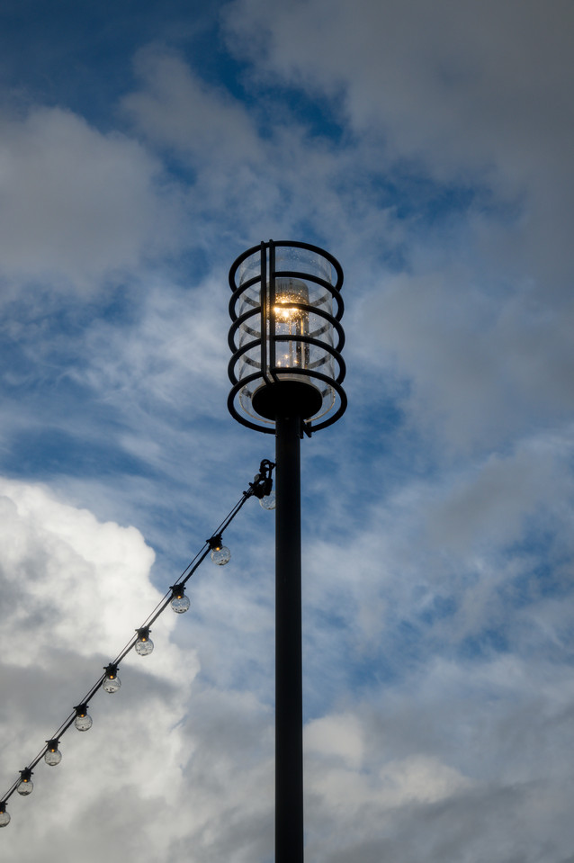 Lake Union - Lamppost