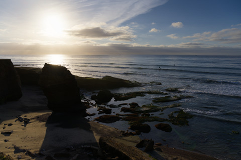 San Diego and Borrego Springs 2025