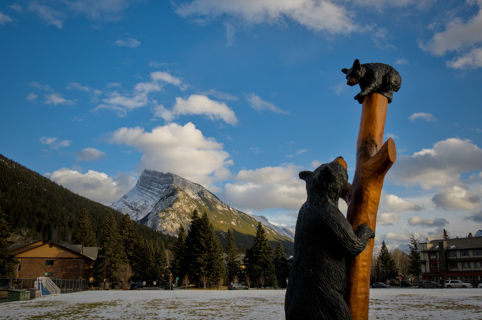 Banff - Mount Rundle and Bears