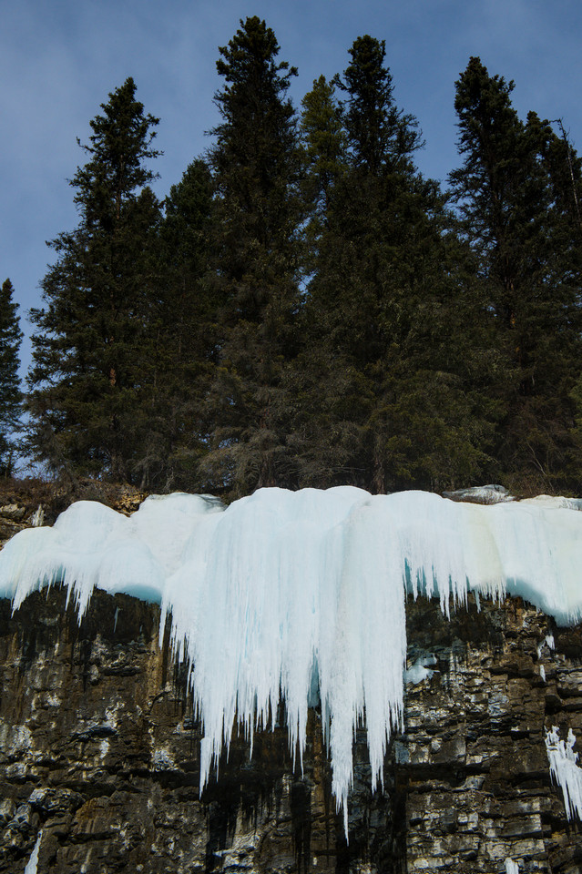 Johnston Canyon - Icicles II