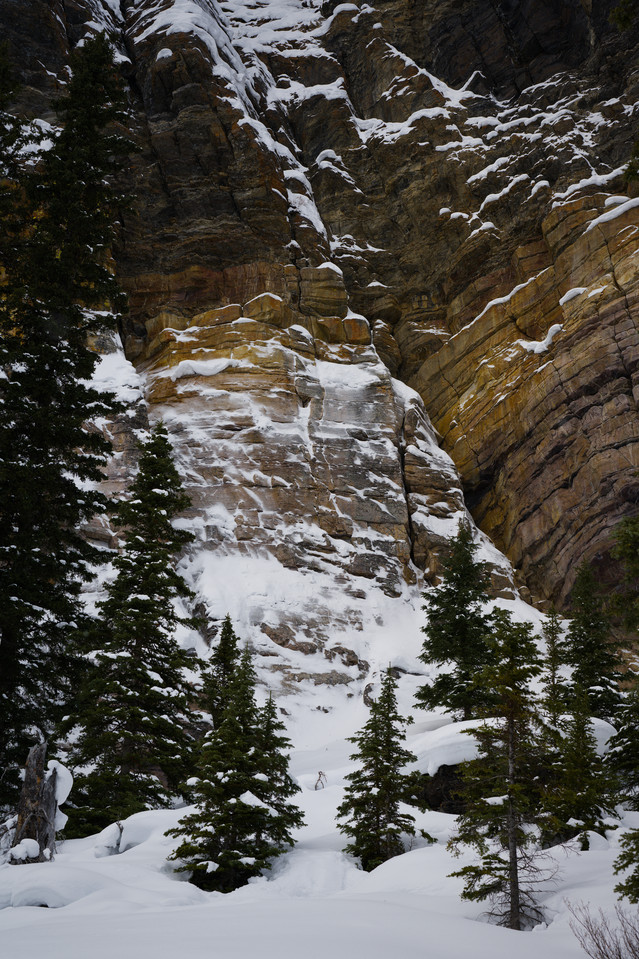Cliffside Colors