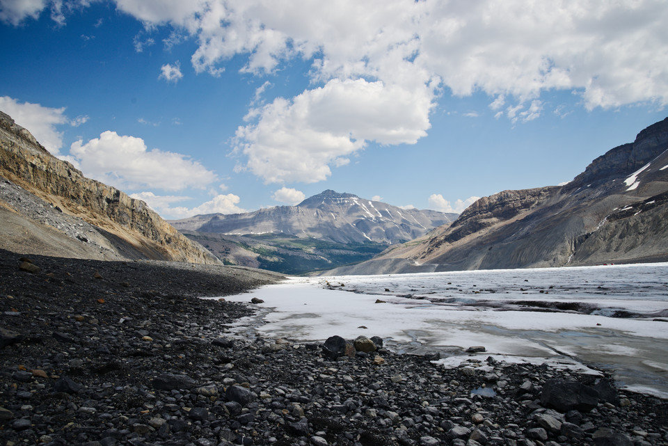 Athabasca Glacier - Rock-strewn Glacier