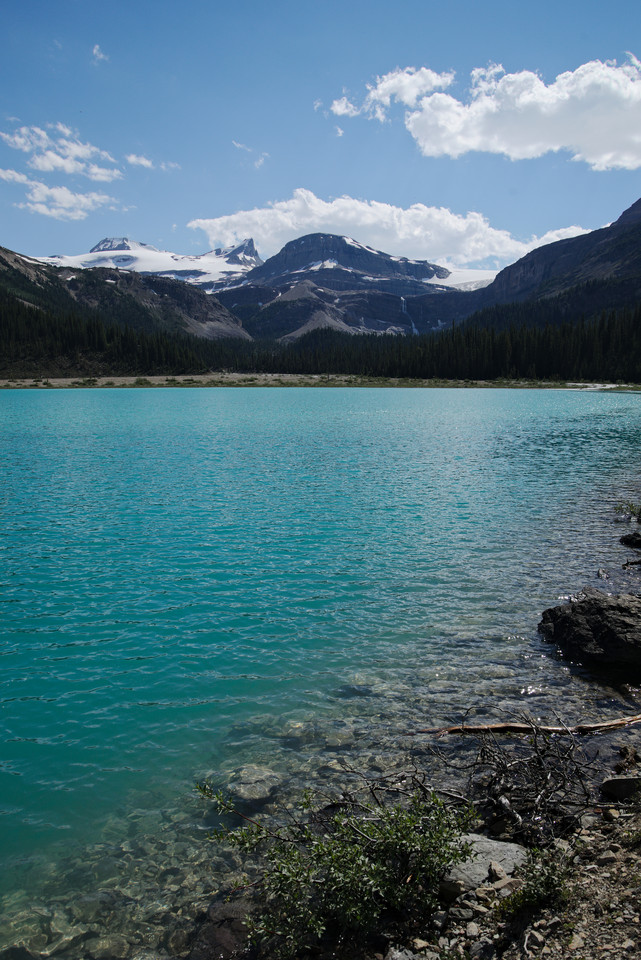 Bow Lake - Turquoise Waters