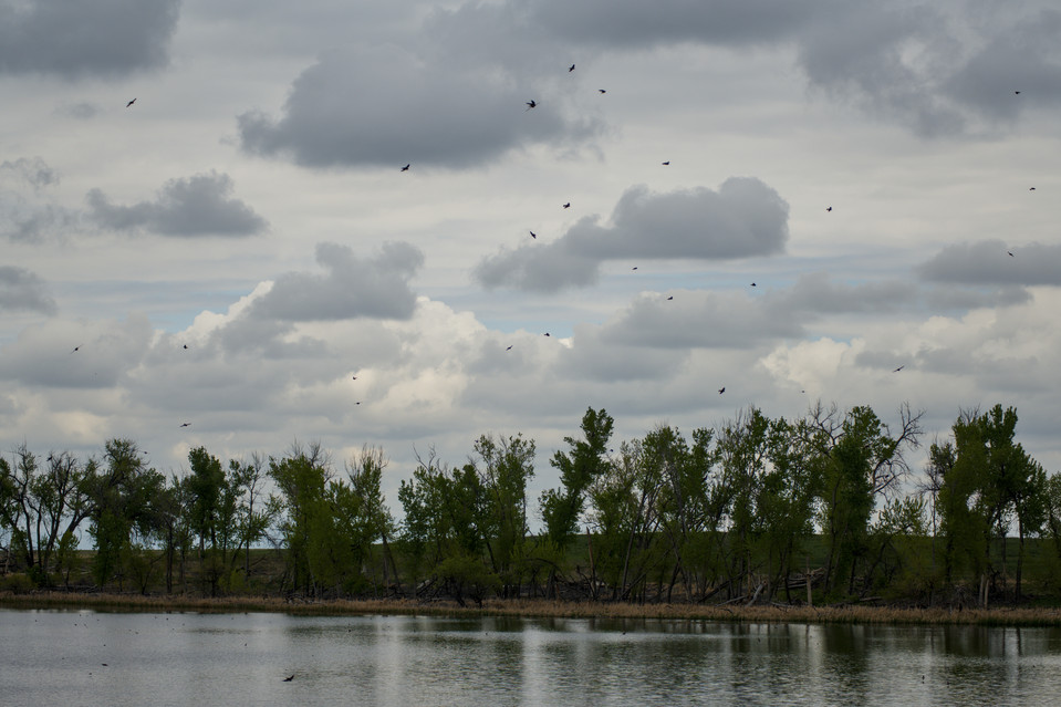 Rocky Mountain Arsenal National Wildlife Refuge - Hunting Party