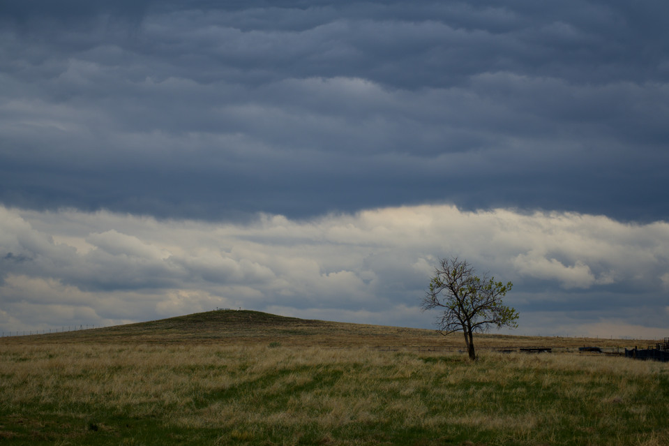 Rocky Mountain Arsenal National Wildlife Refuge - Lone Tree