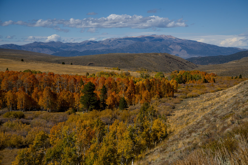 Highway 395 - Conway Summit Foliage