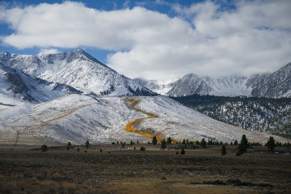 Highway 395 - River of Color
