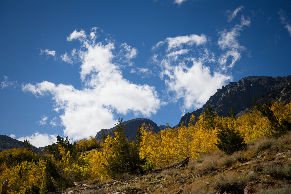 Lundy Canyon - Clouds