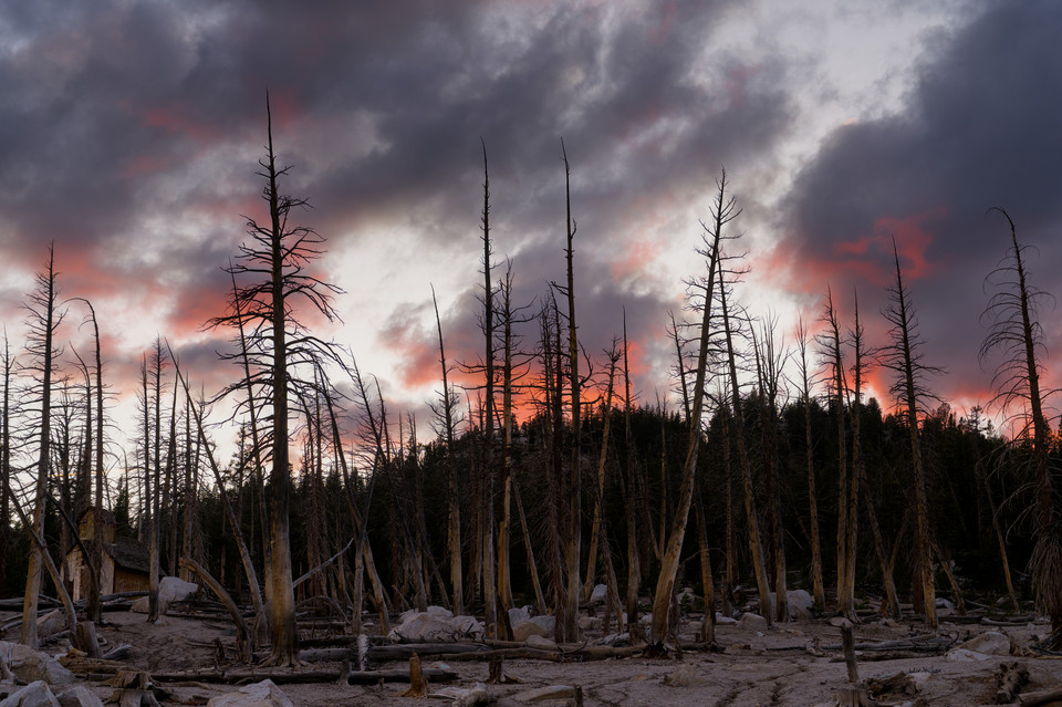Mammoth Lakes - Fire Scars