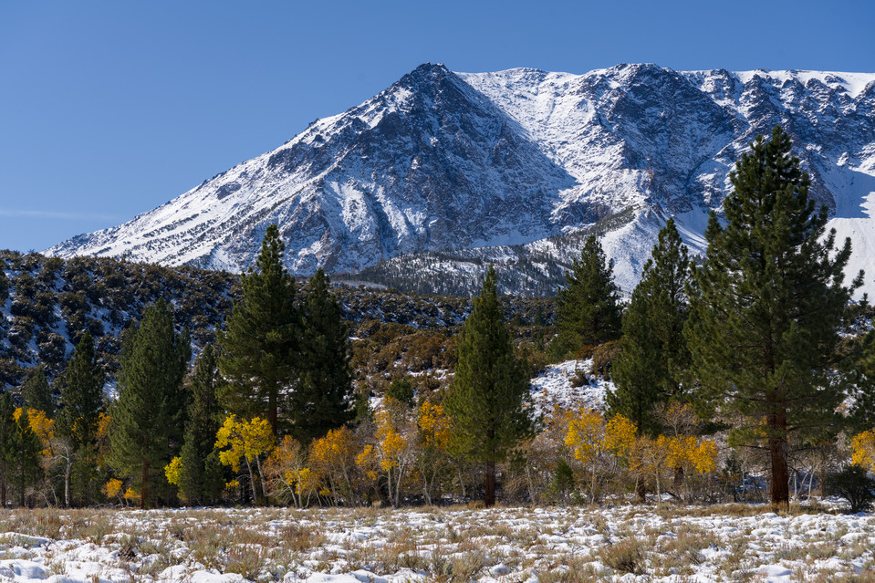 Parker Lake - Spots of Yellow