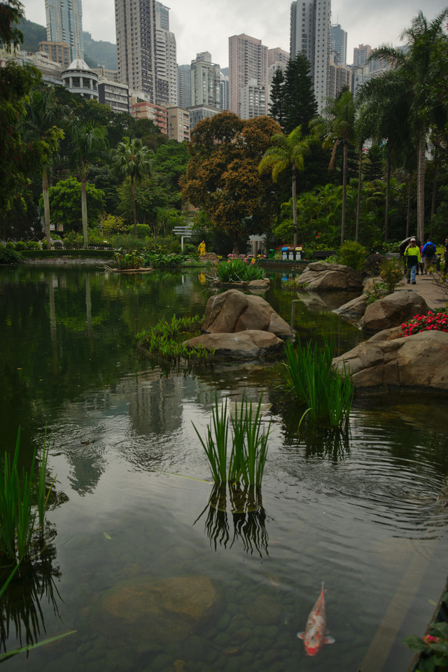 Hong Kong Park - City Pond