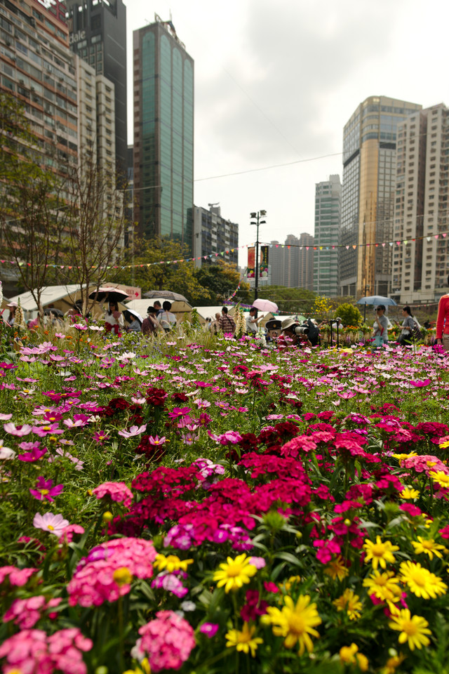 Victoria Park - Hong Kong Flower Show