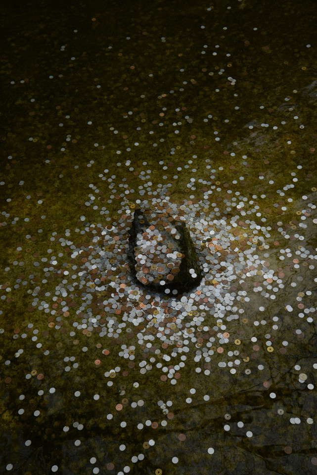 Ginkakuji Temple - Coins in Pond