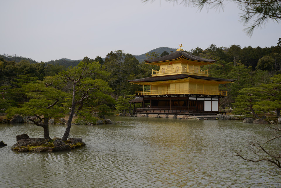 Kinkakuji Temple - The Golden Pavilion
