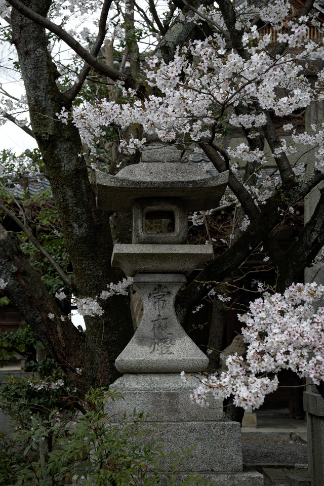 Kyoto - Stone Lantern