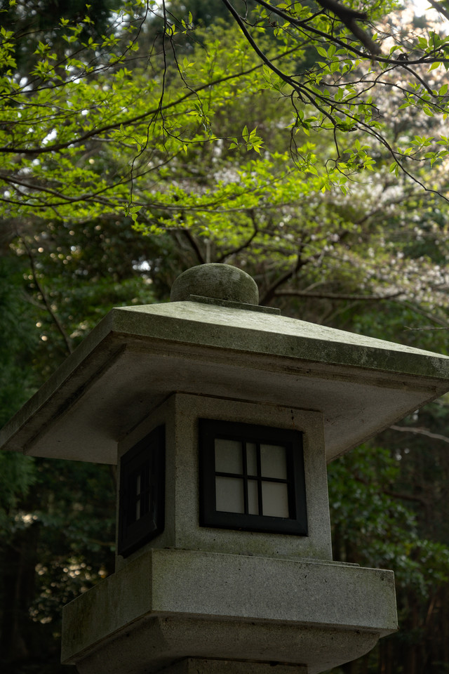 Kumano Nachi Taisha - Stone Lantern