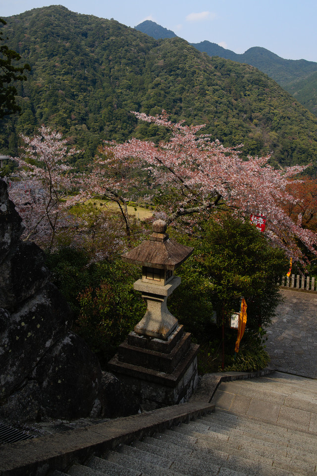 Kumano Nachi Taisha - Stone Steps III