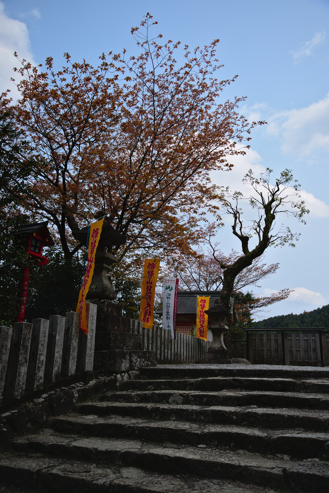 Kumano Nachi Taisha - Stone Steps II