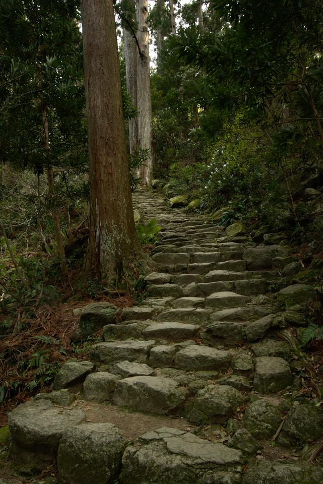Kumano Nachi Taisha - Stone Steps I