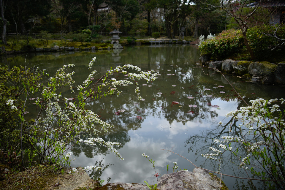 Isuien Garden - Pond Reflections I